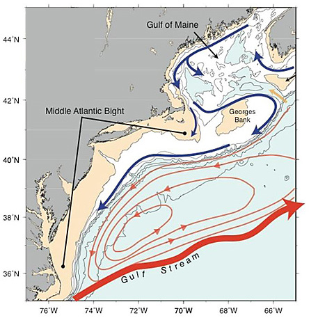 General circulation of the Northeast U.S. Shelf Ecosystem, which extends from Cape Hatteras North Carolina to the western Nova Scotia.