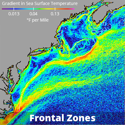 Location of frontal zones including the dominant shelf-slope front at the edge of the shelf and tidal mixing fronts.